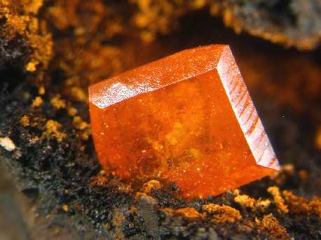 IMS103048TH.jpg (96023 bytes)