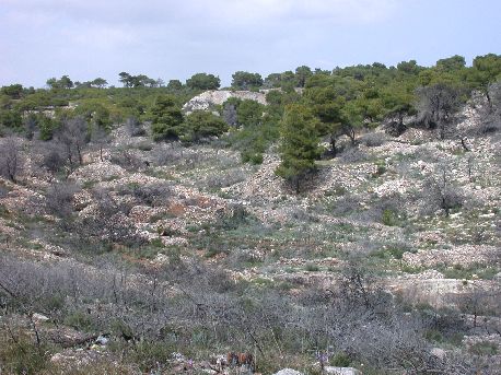 Botsaris1.jpg (52284 bytes)