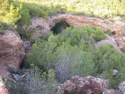 Elafos2.jpg (20750 bytes)