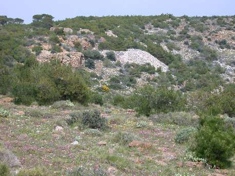 Elafos3.jpg (34909 bytes)