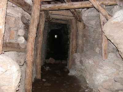 Megala8.jpg (14449 bytes)