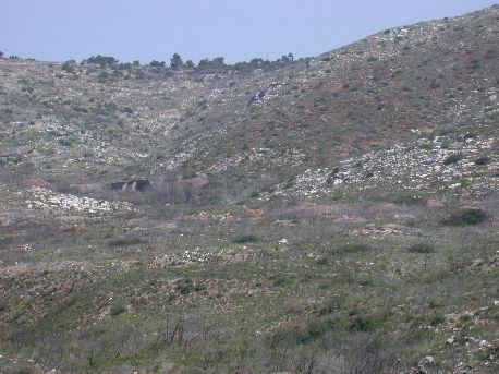 Megala9.jpg (43314 bytes)