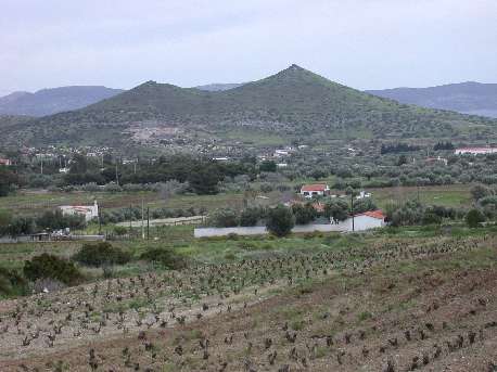 Merkati1.jpg (24661 bytes)