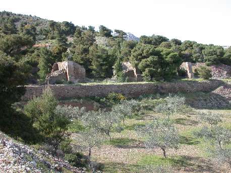 Merkati3.jpg (36428 bytes)