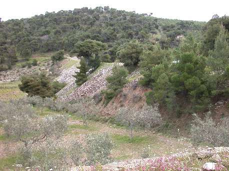 Merkati4.jpg (34392 bytes)