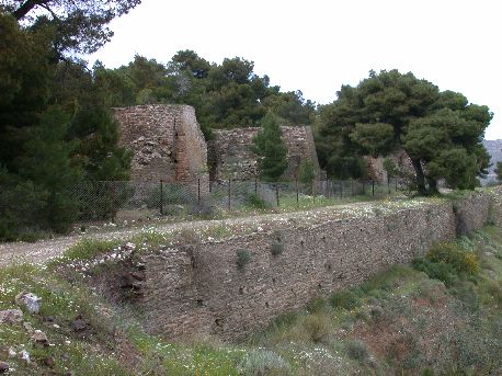 Merkati5.jpg (45962 bytes)