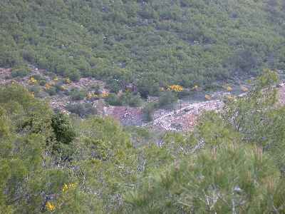 Noria.jpg (16745 bytes)