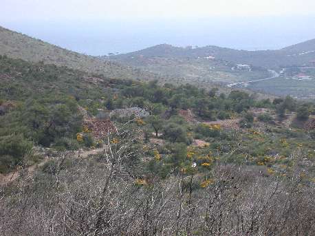 Sounion1.jpg (28419 bytes)