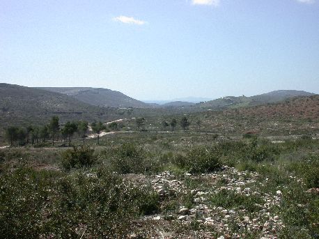 Verzeko2.jpg (40623 bytes)