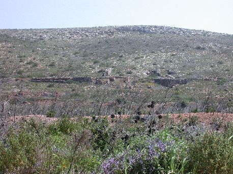 Verzeko3.jpg (58433 bytes)