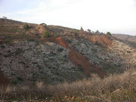 agri1.jpg (25267 bytes)