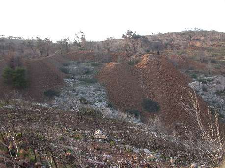 agri2.jpg (29463 bytes)