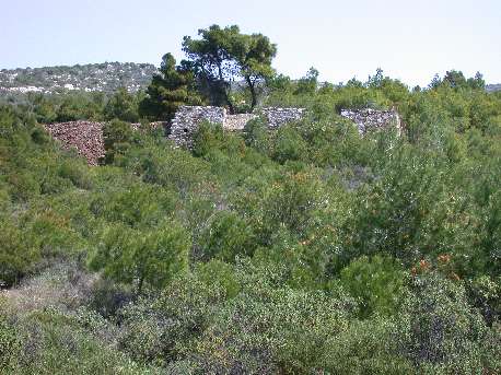 andere2.jpg (38238 bytes)
