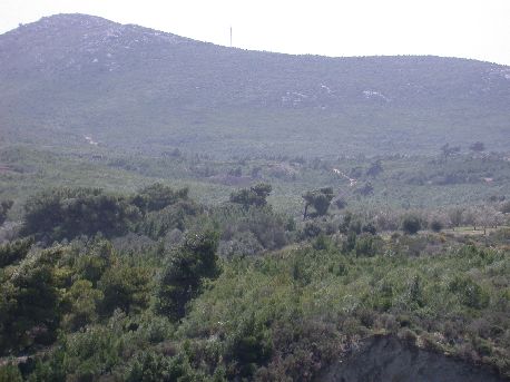 andere3.jpg (30768 bytes)