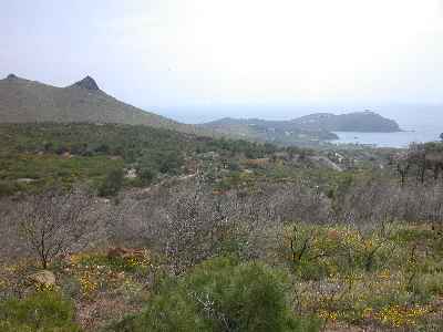sounion2.jpg (13171 bytes)