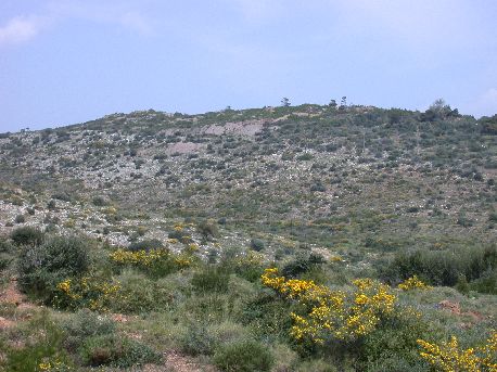 sounion4.jpg (44910 bytes)
