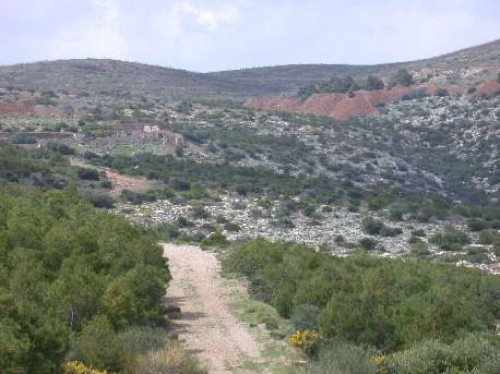sounion6.jpg (25755 bytes)