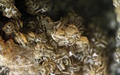 Apatit-Treasavean-St Day FOV 4mm 2016-01-28 23-13-19 (C)