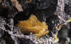 Bassetit-Basset Mine FOV 5mm 2015-12-16 23-20-35 (C)