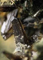 Cassiterit-Wh-Charlotte FOV 2mm 2016-01-28 00-17-14 (C)