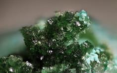 Libethenit - East Gunnislake Calstock FOV 1.5mm 2016-02-12 20-46-44 (C)