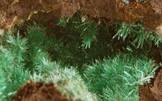 Malachit Grube Brüche Müsen FOV 10mm 2016-02-02 22-36-32 (C)