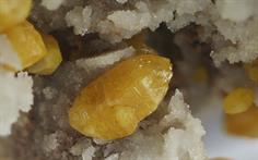 Mimetesit-Quarzriff Badenweiler Schwarzwald FOV 3mm 2016-02-01 00-19-55 (BRadius8Smoothing4)