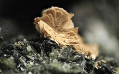 Monazit-Relistian Mine FOV 3mm 2016-01-28 22-59-00 (C)