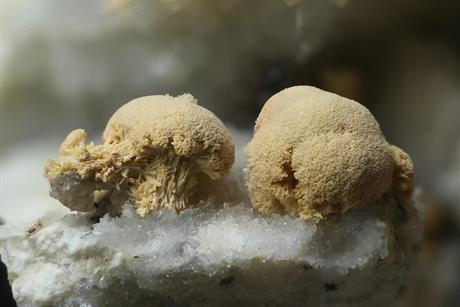 Pyromorphit - Sehringen Badenweiler Schwarzwald FOV 4-5mm 2016-06-13 01-01-18