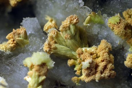 Pyromorphit - Sehringen Badenweiler Schwarzwald FOV 6-mm 2016-06-13 01-10-50