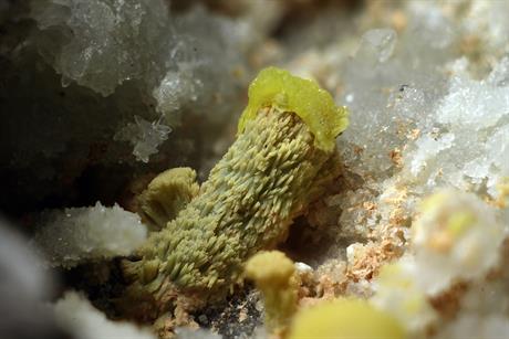 Pyromorphit - Sehringen Badenweiler Schwarzwald FOV 6mm 2016-06-13 00-51-46