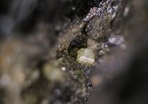 Schwefel, Zeche Neu- Diepenbrock Mühlheim/Ruhjr FOV 1.5mm