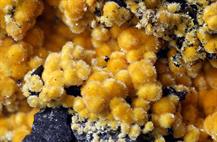 Sideronatrit-Zeche Julia Herne FOV 10mm -07022015-3