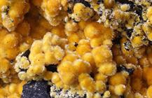 Sideronatrit-Zeche Julia Herne FOV 10mm 07022015-2