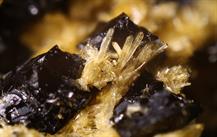 Sideronatrit-Zeche Julia Herne FOV 1mm LUMINAR-10032015