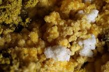 Sideronatrit-Zeche Niederberg Kamp-Lintorf FOV 5mm-10022015-2