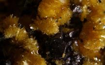 SideronatritZeche Julia Herne FOV 2_5mm-12032015-2